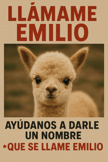 a poster with a llama and the words llamame emilio in red