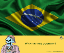 Brazilia GIF - Brazilia GIFs