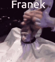 a picture of a monkey getting a haircut with the name franek