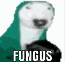 Fungus Gabe GIF - Fungus Gabe Stench Man GIFs