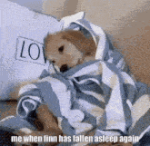 a dog wrapped in a blue and white striped blanket