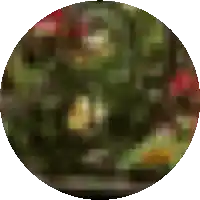a blurry picture of a christmas tree with a green circle in the center