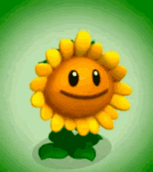Sunflower Nature GIF - Sunflower Flower Nature GIFs