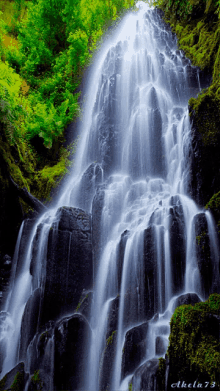 Waterfall Falls GIF - Waterfall Falls Nature GIFs