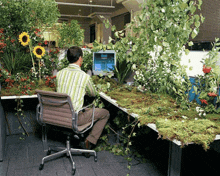 a man sits at a desk in front of a computer screen surrounded by plants