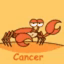 Cancer Crab GIF