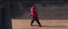 Little Spidey Spiderman GIF - Little Spidey Spiderman Spider Baby GIFs