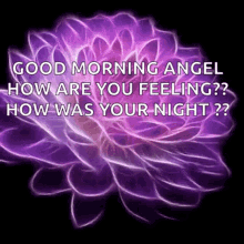 flower good morning angel how are you feeling