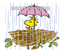 snoopy wood stock rain good morning umbrella