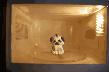 Microwave Microwave Oven GIF - Microwave Microwave Oven Cat GIFs
