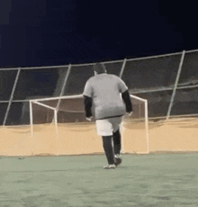 a man is kicking a soccer ball into a goal on a soccer field .