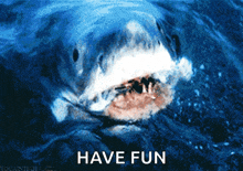 a picture of a shark with the words " have fun " below it