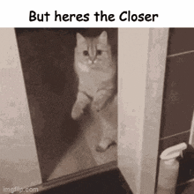 Butheresthe Cat GIF - Butheresthe Cat GIFs