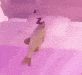 a fish is swimming in a purple aquarium .