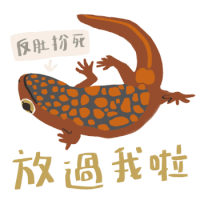 an illustration of a lizard with chinese writing around it