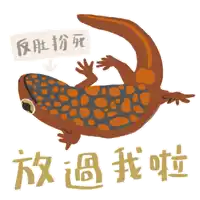 an illustration of a lizard with chinese writing around it