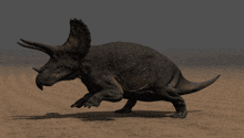a triceratops is walking across a desert landscape