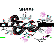 Shaaf Shoinik GIF - Shaaf Shoinik GIFs