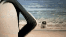 a close up of a penguin 's tail on a beach with the ocean in the background