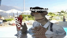 Megacable Internet GIF - Megacable Internet Pija GIFs