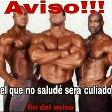 three muscular men are standing next to each other with their arms crossed and a caption that says aviso !!!