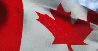 Canada Flag GIF - Canada Flag - Discover & Share GIFs