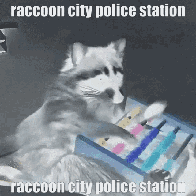 Raccoon City GIF - Raccoon City Police GIFs