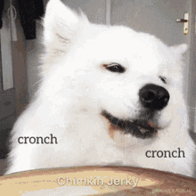 Cronch Dog GIF - Cronch Dog Doggo GIFs