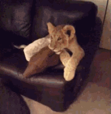 Cub Couch GIF - Cub Couch The Lion King GIFs