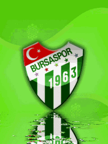 Bursaspor Texas GIF