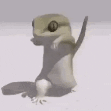 a 3d rendering of a lizard standing on its hind legs on a white surface .