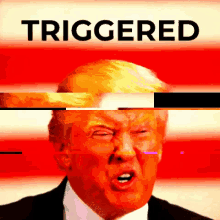 Donald Trump Triggered GIF - Donald Trump Triggered Angry GIFs