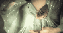Tori Amos Swb GIF - Tori Amos Swb Sleeps With Butterflies GIFs