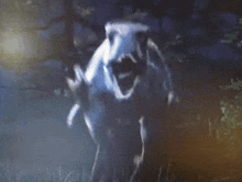 a horse with its mouth open is standing in the grass