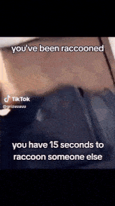 Raccooned Jiggly Raccoon GIF - Raccooned Jiggly Raccoon GIFs