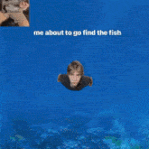 Aaron Paulsen Find The Fish GIF - Aaron Paulsen Find The Fish One Man Band GIFs