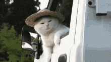 Cute Cat GIF - Cute Cat Hat GIFs