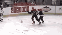 Ottawa Senators Senators GIF - Ottawa Senators Senators Sens Goal GIFs