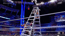a wrestler in a ladder in a wrestling ring with #wrestlemania written on the screen
