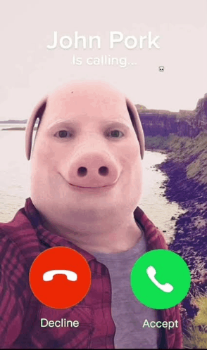 John Pork Incoming Call GIF - John pork Incoming call John pork call ...