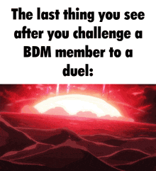 a meme says the last thing you see after you challenge a bdm member to a duel