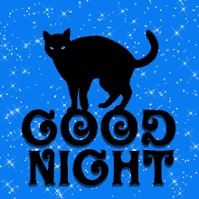 Good Night Black Cat GIF