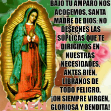 Bajo Tu Amparo Virgen De Guadalupe GIF