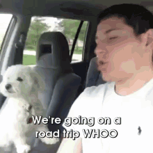 Quincy Is Excited For A Road Trup GIF - Quincy Dog Mimic GIFs