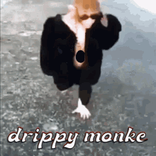 Onyx Monkey Drippy Monkey GIF - Onyx Monkey Drippy Monkey Crypto Gemology GIFs