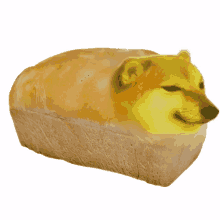 dog bread