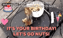 Its Your Birthday Lets Go Nuts Happybirthday GIF - Its Your Birthday Lets Go Nuts Happybirthday Wishes GIFs