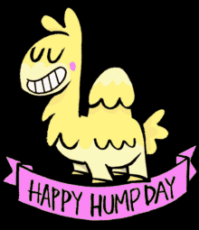 Hump Day GIF - Hump Day Wednesday GIFs