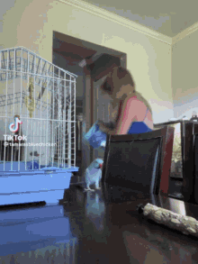 a tiktok video of a woman feeding a bird