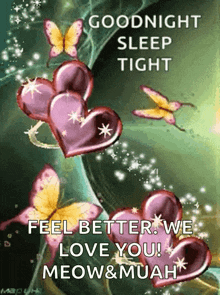 a goodnight sleep tight greeting with butterflies and hearts